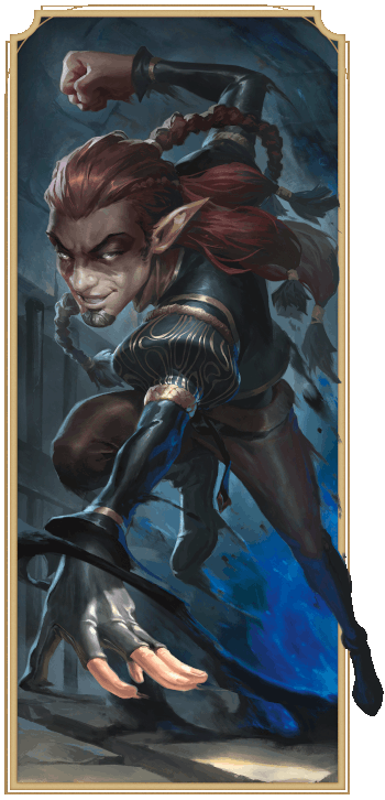 Warrior of Shadow Subclass