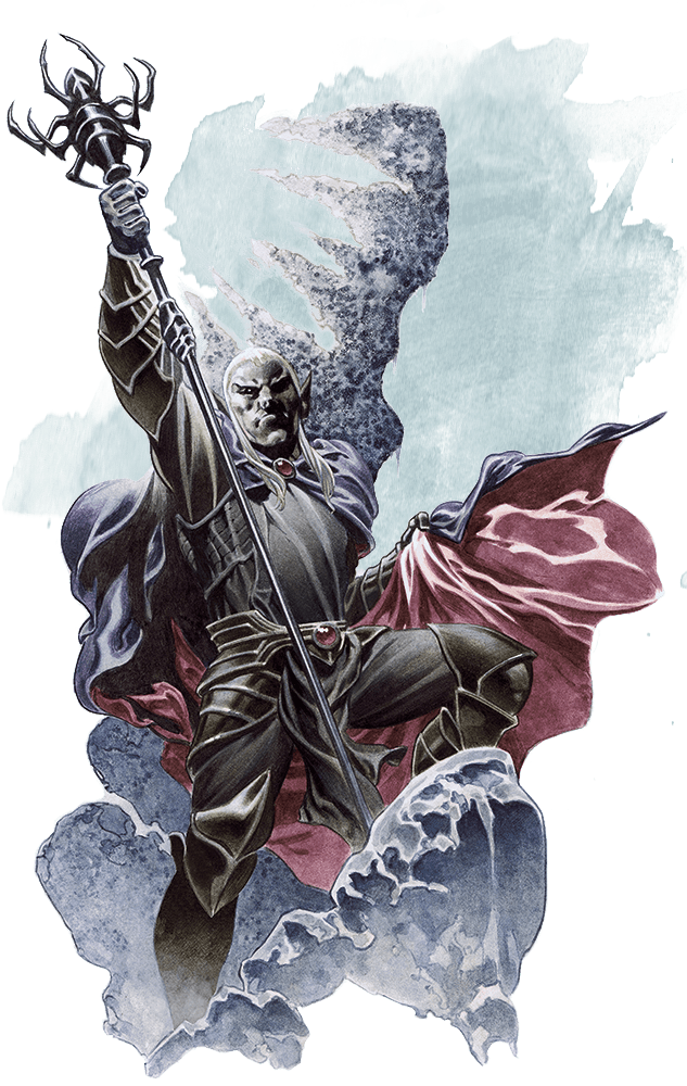 แมงมุมดำเนซนาร์