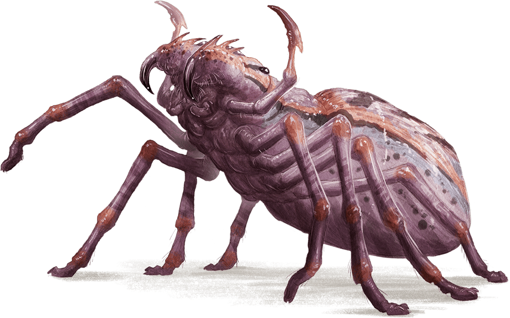 แมงมุมยักษ์